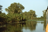 664_Boottocht op Yellow Water - veel watervogels!